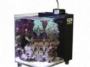 aquario 1q3 preto