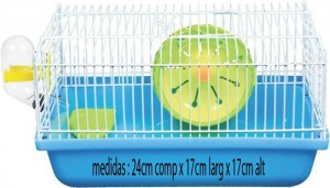 Imagem 1